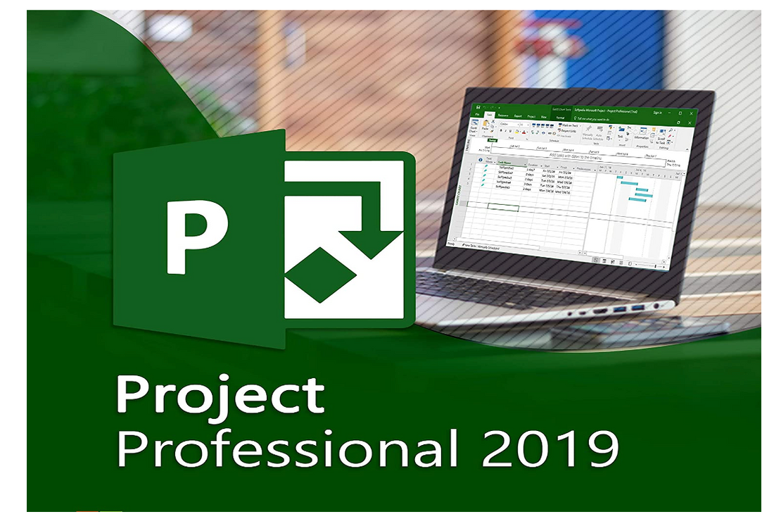 WHY MICROSOFT PROJECT PROFESSIONAL 2019 IS A MUST-HAVE FOR COMPLEX PROJECTS