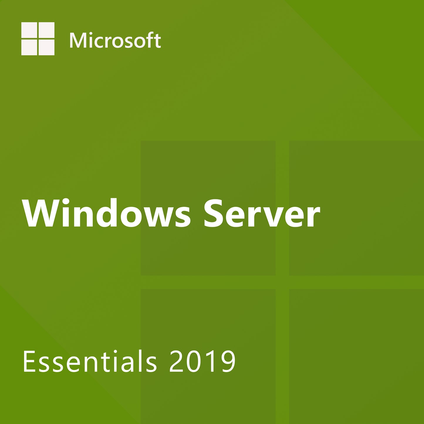 Microsoft Windows Server 2019 Essentials